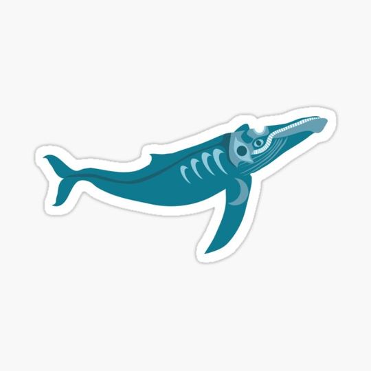 Discover Humpback Whale