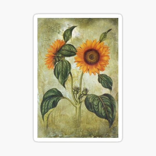 Discover Vintage sunflower grunge style 3