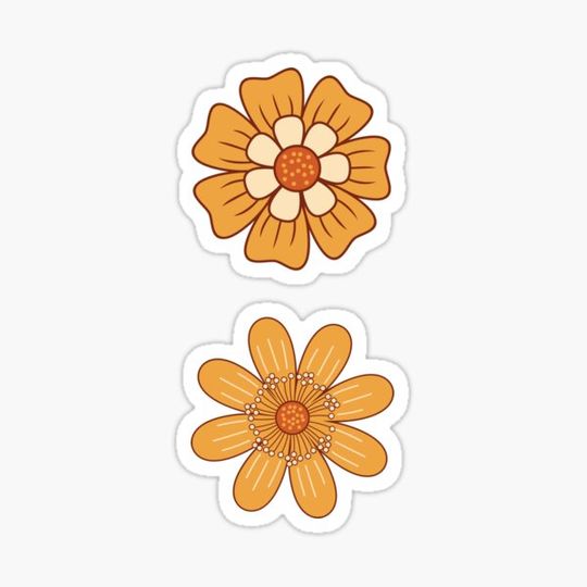 Discover Orange flower