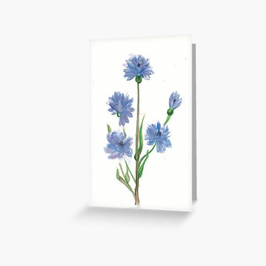 Discover Cornflower
