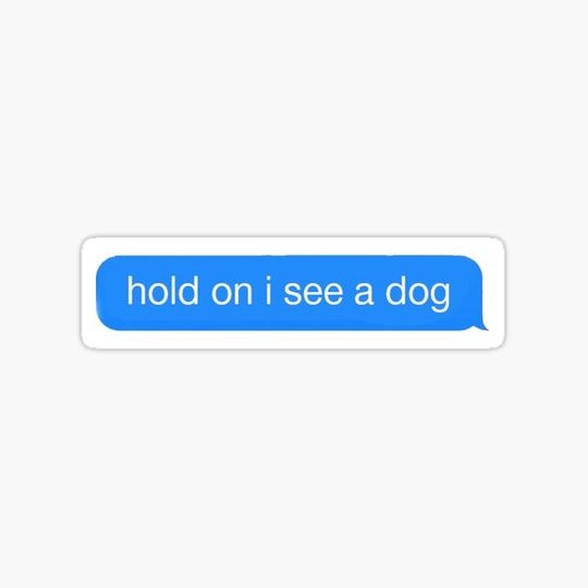 Discover Hold On I See A Dog