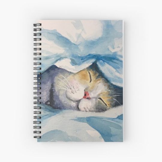 Discover Sleeping kitty