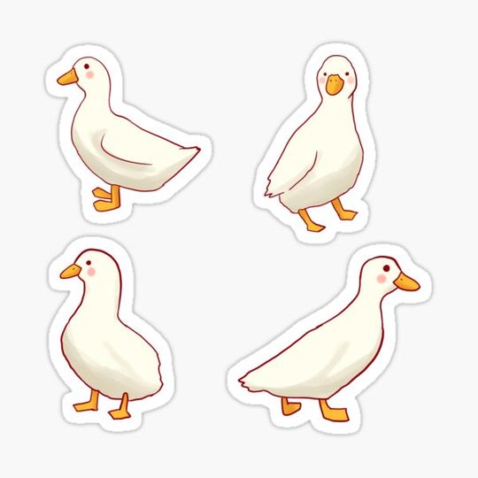 Discover Funny Ducks pack