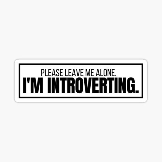 Discover Please Leave Me Alone, I'm Introverting.