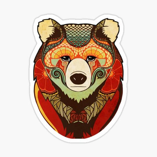 Discover The Bear