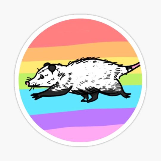 Discover pride possum