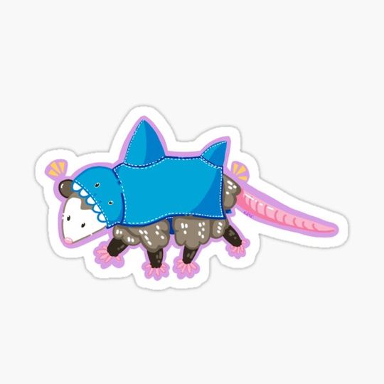 Discover shark possum