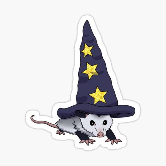 Discover Magic Opossum