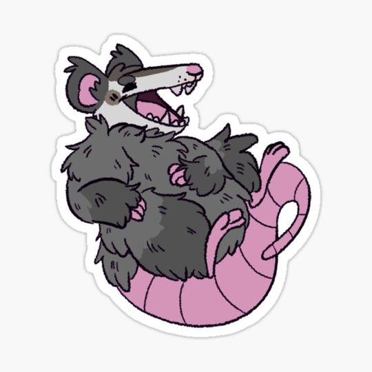 Discover Happy Possum