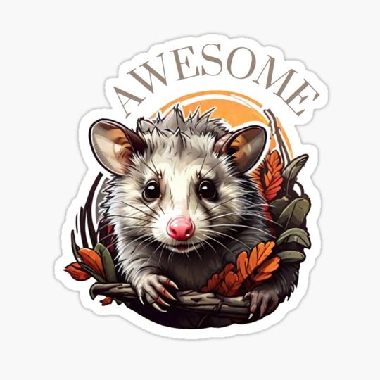 Discover Awesome possum