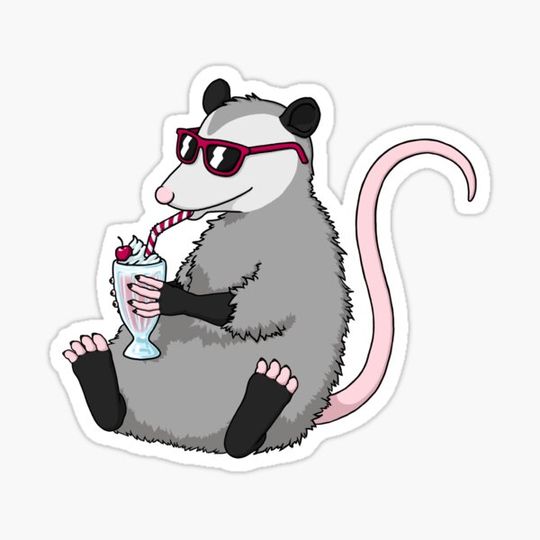 Discover Coolest possum