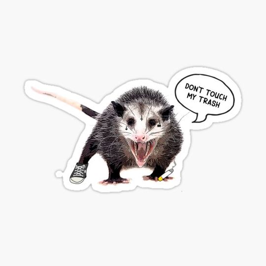 Discover Folk Punk Possum