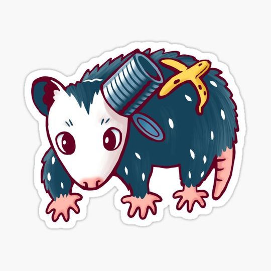 Discover Awesome Garbage Possum