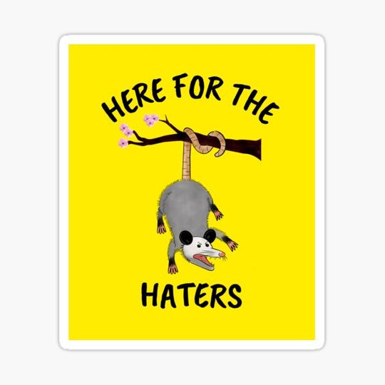Discover Copy of Here for the Haters Funny Possum Design