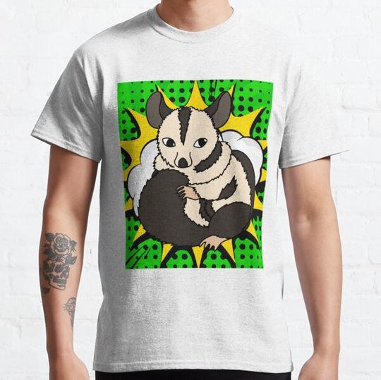 Discover Possum Australia Raccoon Possum