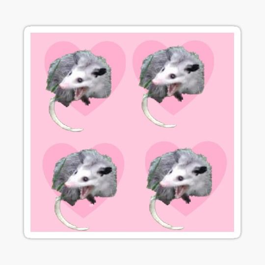 Discover screaming pink possum