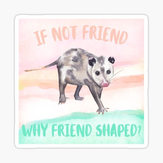 Discover If Not Friend Why Friend Shaped? Possum Opossum