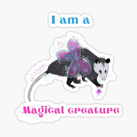 Discover Magical Possum