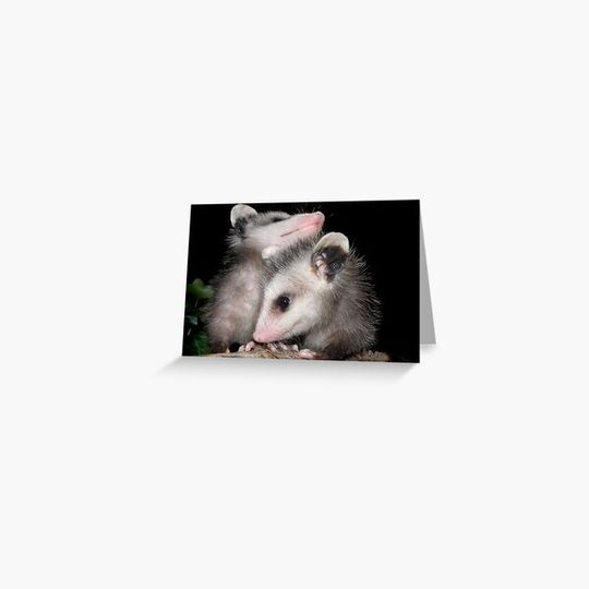 Discover 'POSSUM KIDS