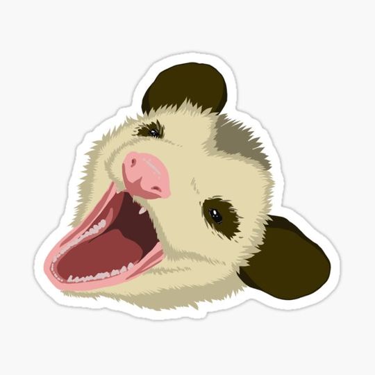 Discover Possum 2