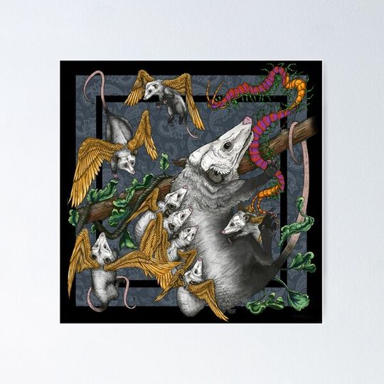 Discover Possum