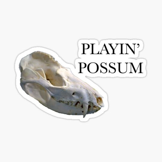 Discover Playin’ Possum
