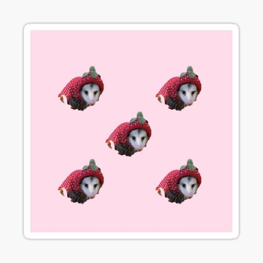 Discover strawberry possum pattern