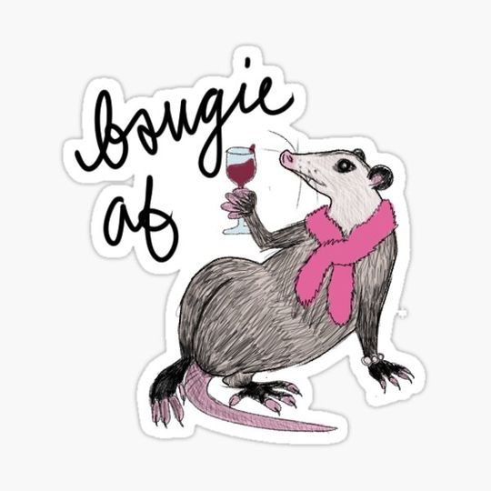 Discover Bougie Opossum