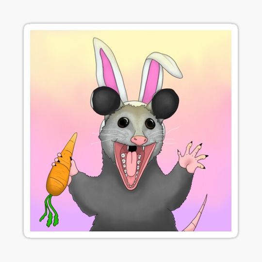 Discover Follow your dreams possum!