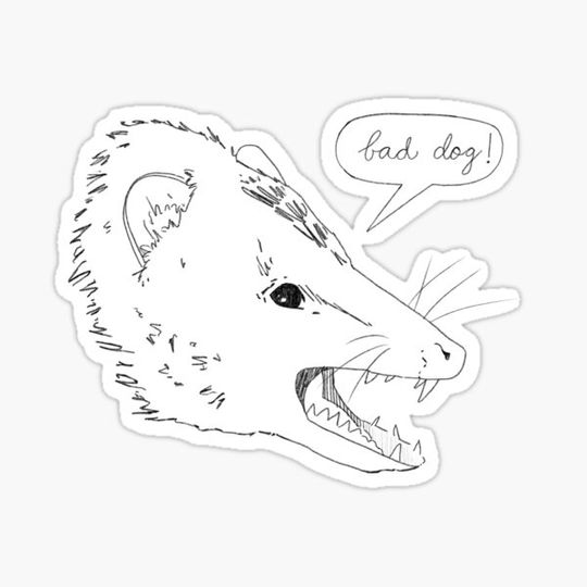 Discover Bad Dog Possum