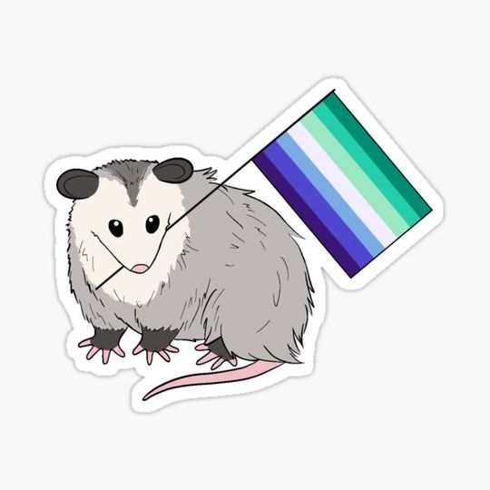 Discover Gay Pride Possum