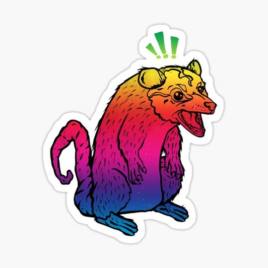 Discover Angry Possum