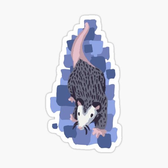 Discover Opossum