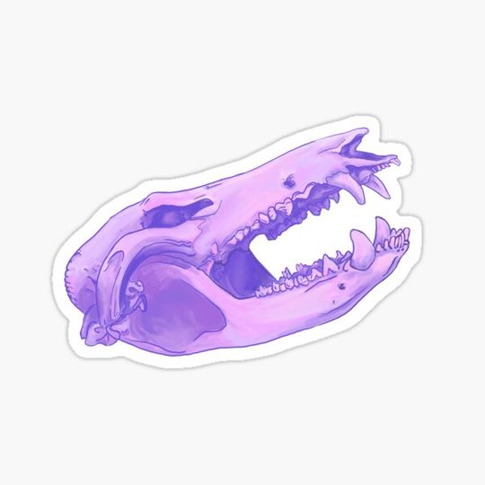 Discover Purple Possum Skull