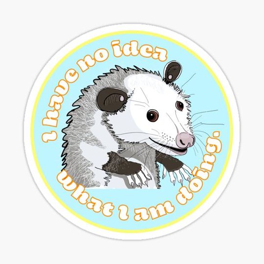 Discover Clueless Possum