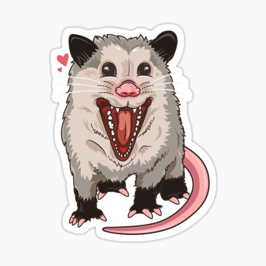 Discover Happy Possum