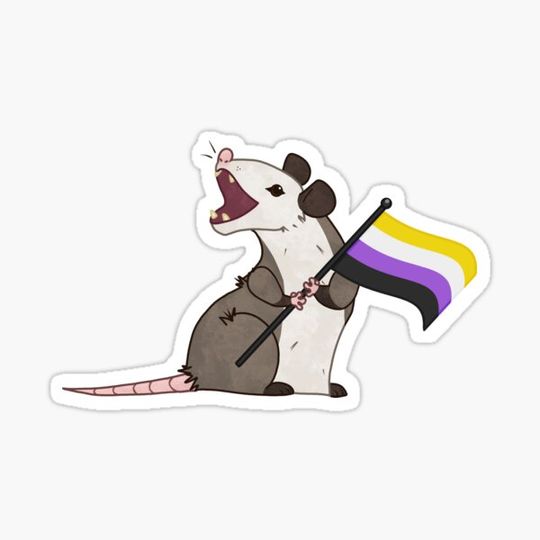 Discover Non-Binary Pride Possum