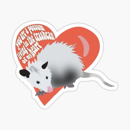 Discover You Are a Possum Living in the Trashcan of My Heart