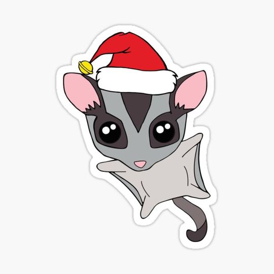 Discover Christmas Sugar Glider Possum