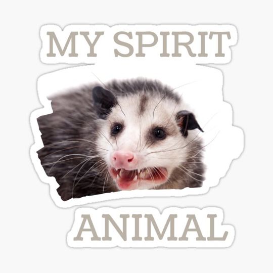 Discover Spirit Animal Possum