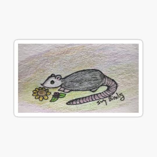 Discover Possum in the flowers