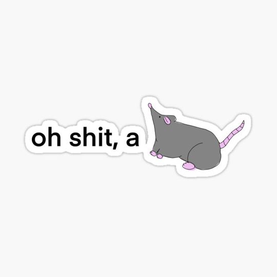 Discover oh s#!t, a rat
