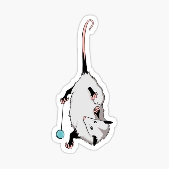 Discover Yo-yo Opossum