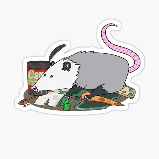 Discover Possum