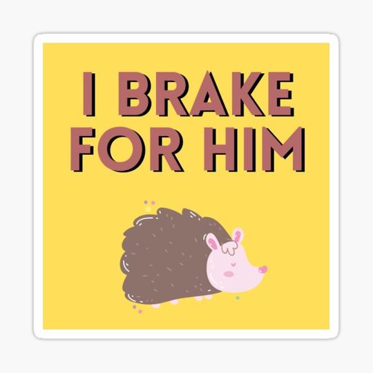 Discover I brake for him- Opossum