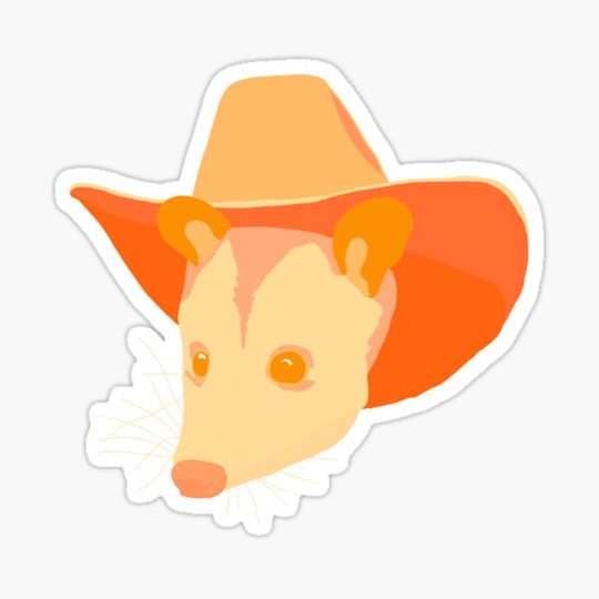 Discover opossum in a cowboy hat 2!
