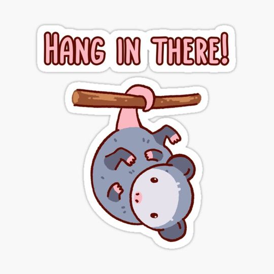 Discover Hang in there! Cute opossum hanging by his tail