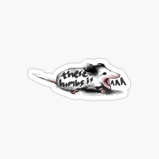 Discover there himbs is opossum sticker