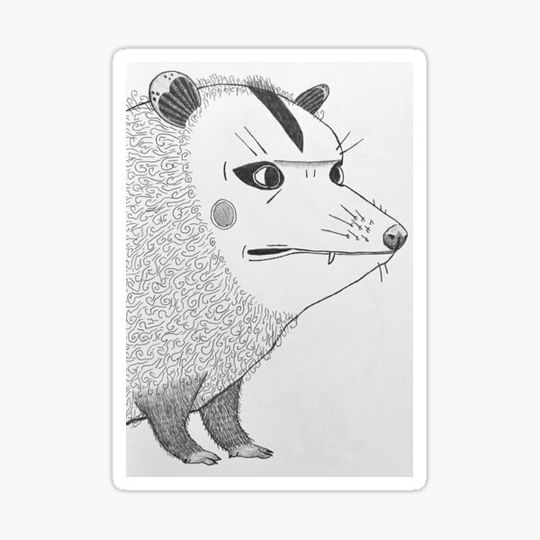 Discover A Stern Opossum to Motivate You