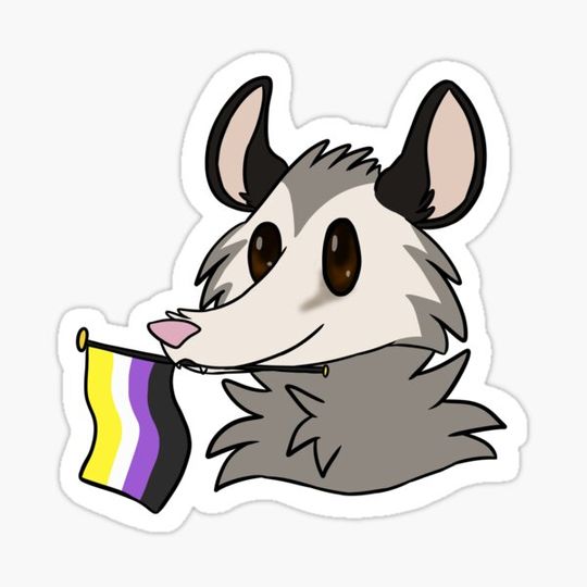 Discover Pride Opossum: Non-Binary